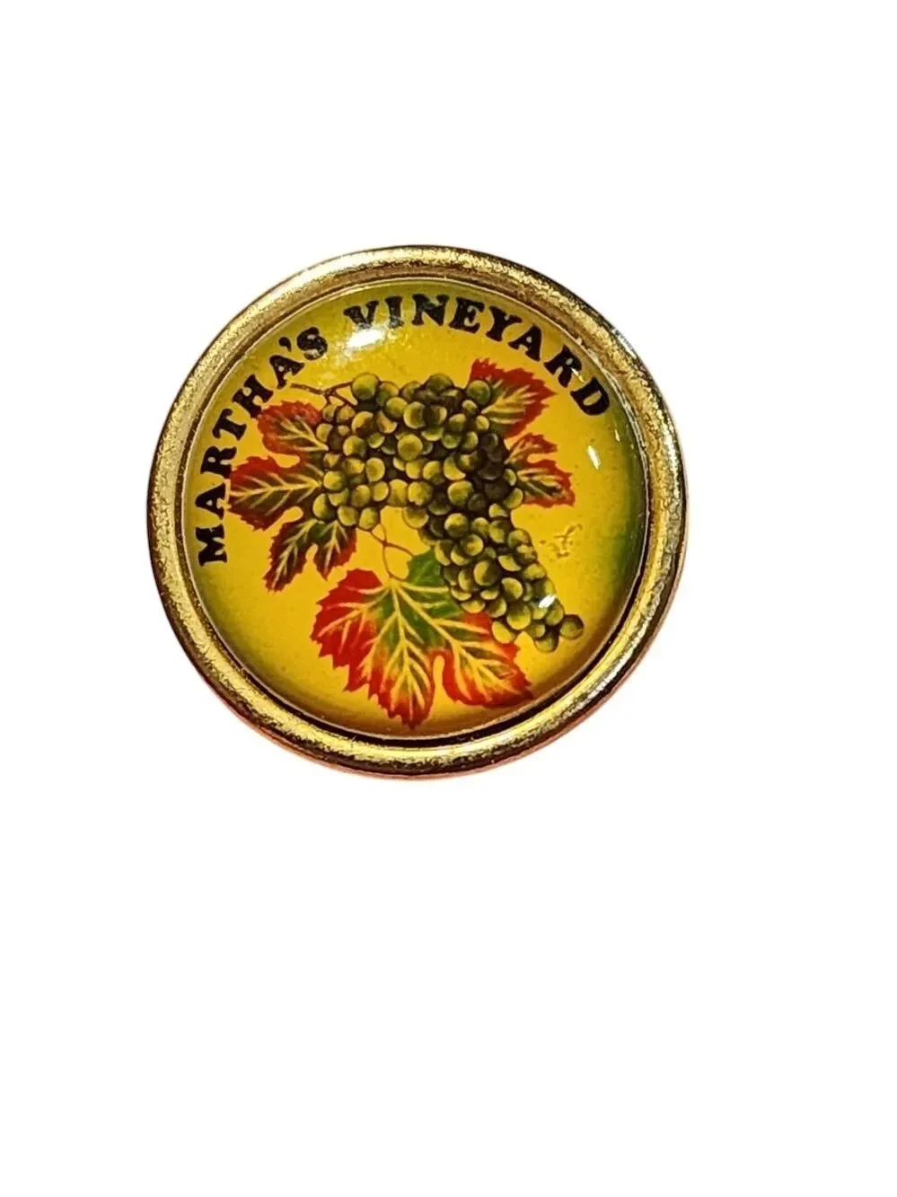 Martha's Vineyard Vintage Lapel Decorative Pin